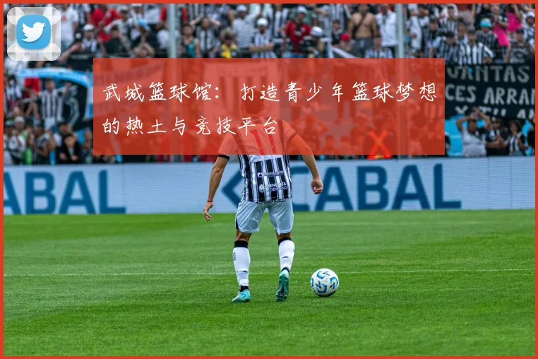 武城篮球馆：打造青少年篮球梦想的热土与竞技平台