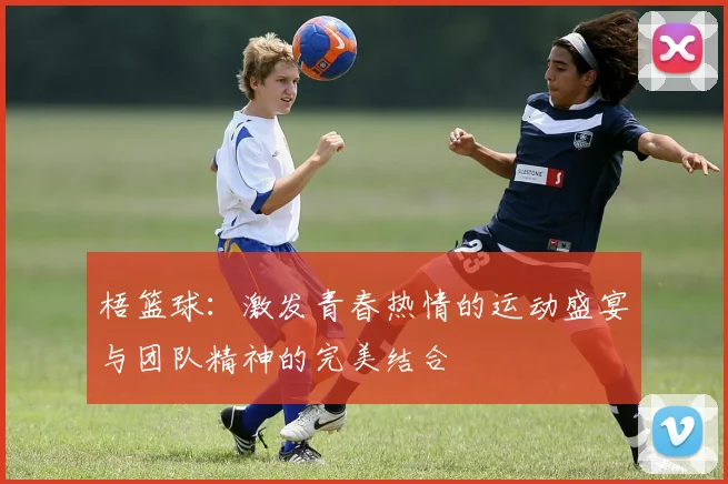 梧篮球：激发青春热情的运动盛宴与团队精神的完美结合