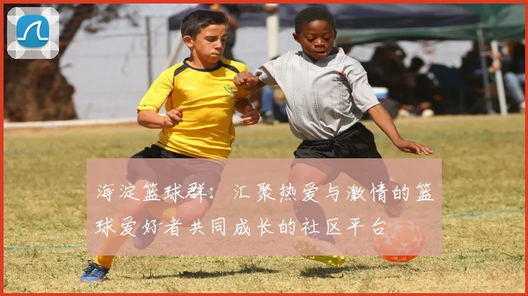 海淀篮球群：汇聚热爱与激情的篮球爱好者共同成长的社区平台